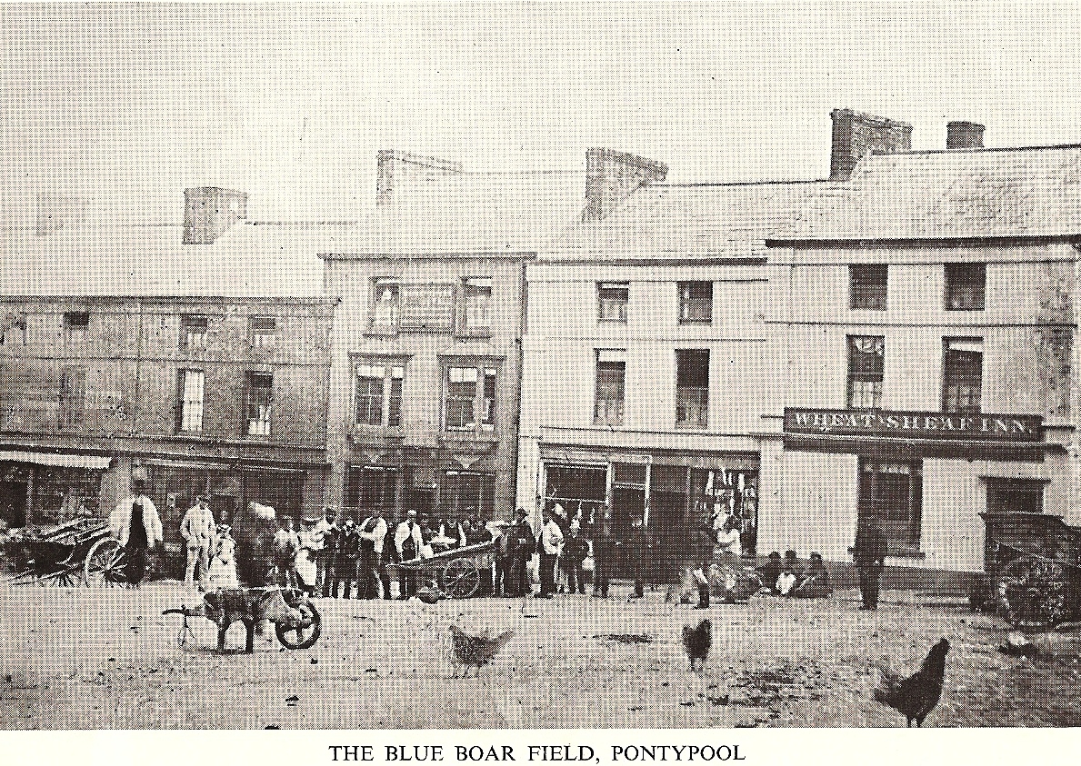 blue boar field