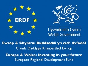 ERDF Logo  - WG